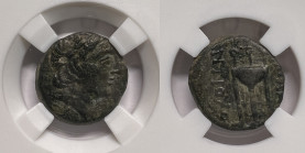 Greek SELEUKID KINGDOM. Possibly Sardeis . Antiochos III Megas (Circa 222-187 BC).