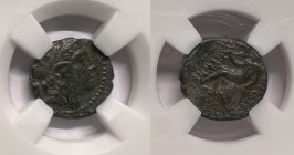 Seleukid Kingdom. Antioch on the Orontes. Seleukos III Keraunos 226-223 BC.
Bronze Æ