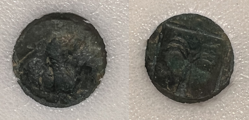 TROAS, Skepsis (Circa 400-310 BC).
AE Bronze (9.2mm, 0.53g)
Forepart of Pegasos ...