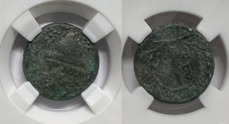 Troas. Birytis circa 350-300 BC.
Bronze Æ
18 mm, 5,62 g
nearly very fine