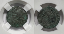 Troas. Birytis circa 350-300 BC.
Bronze Æ