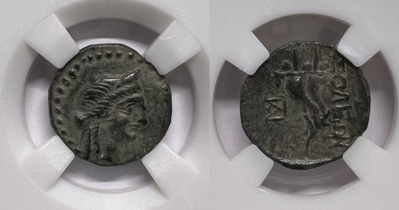 Kilikien. Soloi.
Bronze. 1. Jhdt. v. Chr.
Vs: Kopf der Artemis mit Stephane rech...