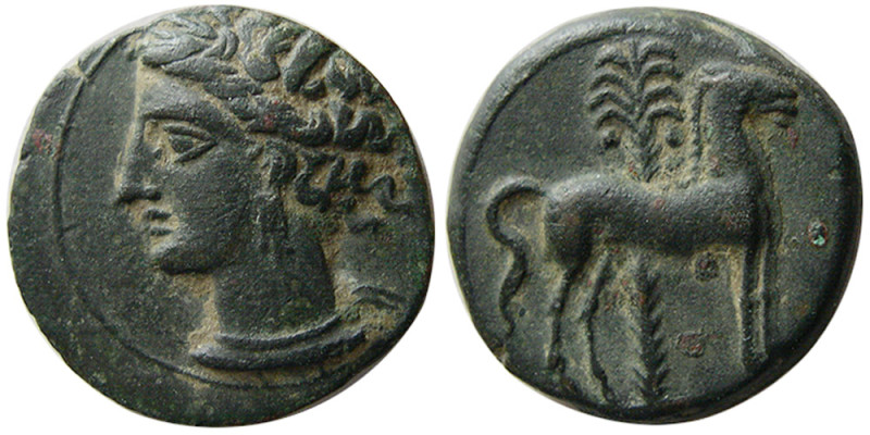 ZEUGITANA, Carthage. Circa 400-350 BC. Æ (2.86 gm; 16 mm). Wreathed head of Tani...