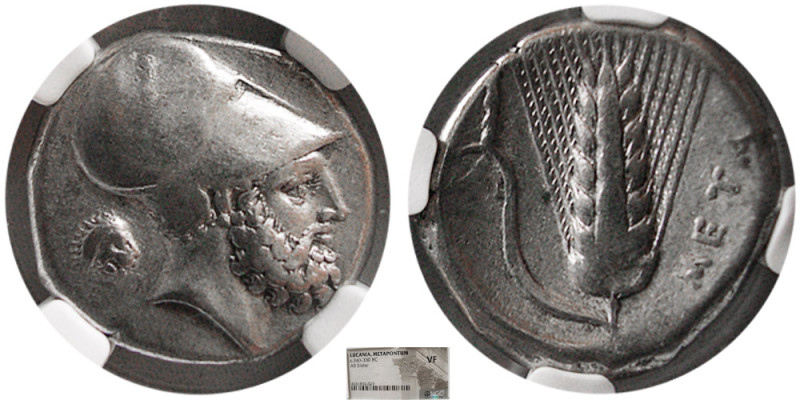LUCANIA, Metapontum. Circa 340-330 BC. AR Stater. NGC-VF. Obv: Head of Leukippos...