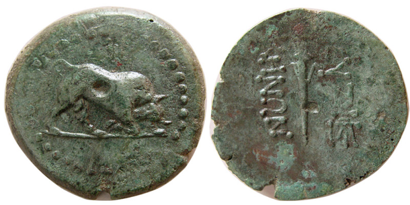 MYSIA. Kyzikos. 2nd-1st centuries BC. Æ (7.46 gm; 27 mm). Obv: Bull butting righ...