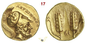 LUCANIA Metapontum periodo di Pirro (280-279 a.C.) 1/3 di Statere d'oro. D/ Testa elmata di Leucippo R/ Due spighe di grano HN Italy 1630 SNG Lockett ...