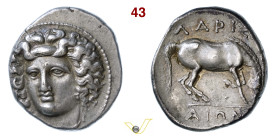 TESSALIA Larissa (395-344 a.C.) Dracma D/ Testa di tre quarti della Ninfa Larissa R/ Cavallo al pascolo SNG Cop. 123 var. BMC 61 Ag g 6,07 mm 19 • Ex ...