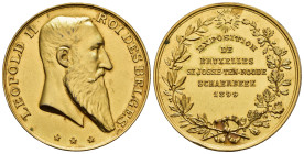MEDAGLIE ESTERE. REGNO DEL BELGIO. LEOPOLDO II (1865-1909), medaglia non portativa, al dritto LEOPOLD II ROI DES BELGES, testa del re a destra sotto t...
