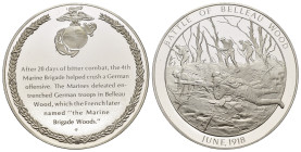 Medaglie mondiali. Stati Uniti. The Franklin Mint Bicentennial History Of the United States Corps, Army and Navy. Medaglia 1974 Ag Sterling (ca.25 g)....
