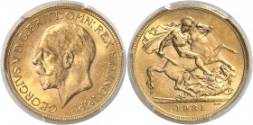 Afrique du Sud Georges V (1910-1936) 1 souverain or - 1931 SA Pretoria. Très rare dans cette qualité. 7.98g - Fr. 5 FDC Exceptionnel - PCGS MS 65+
