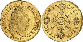 France Louis XIV (1643-1715) Double louis d’or aux quatre L - 1695 D Lyon Réformation. Exemplaire d’une qualité exceptionnelle. Le plus bel exemplaire...