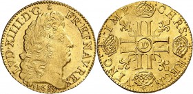 France Louis XIV (1643-1715) Louis d’or à la perruque - 1689 D Lyon. Type très rare. Le seul exemplaire gradé. 6.75g - Fr. 426 Superbe à FDC - NGC MS ...