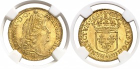 France Louis XIV (1643-1715) Louis d’or à l’écu type de Dijon (LUD XIV) 1691 P Dijon - Réformation. Très rare, surtout dans cette qualité. Le plus bel...