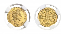 France Louis XIV (1643-1715) 1/2 louis d’or à la mèche courte - 1644 D Lyon. Très rare et magnifique exemplaire. Léger nettoyage. 3.38g - Fr. 416 Prat...