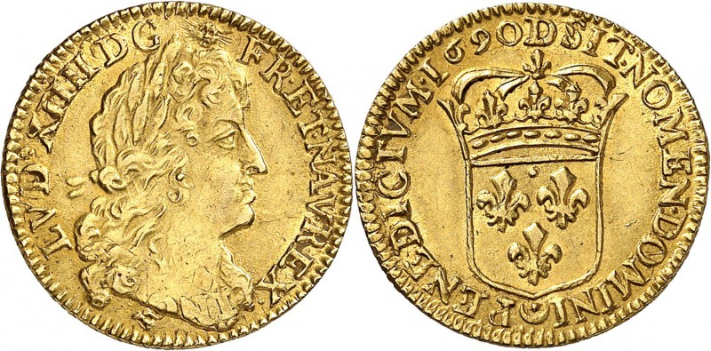 France Louis XIV (1643-1715). 1/2 louis d’or à la perruque hybride - 1690 D Lyon...