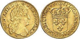 France Louis XIV (1643-1715). 1/2 louis d’or à la perruque hybride - 1690 D Lyon Réformation. Avers du 1/2 louis d’or à la perruque, revers du 1/2 lou...