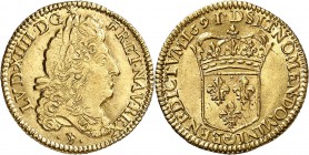 France Louis XIV (1643-1715) 1/2 louis d’or à l’écu - 1691/0 D Lyon - Réformation. D’une qualité exceptionnelle pour ce type. Le plus bel exemplaire g...