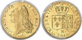 France Louis XVI (1774-1792) - Période Révolutionnaire (1789-1793) Double louis d’or à la tête nue - 1790 M Toulouse - 1er semestre. Très rare. Le seu...