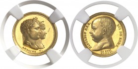 France Napoléon Ier (1804-1814) Médaille en or - 1811 - J.-B. Andrieu. Commémore la naissance du Roi de Rome, fils de Napoléon Ier et de Marie-Louise ...