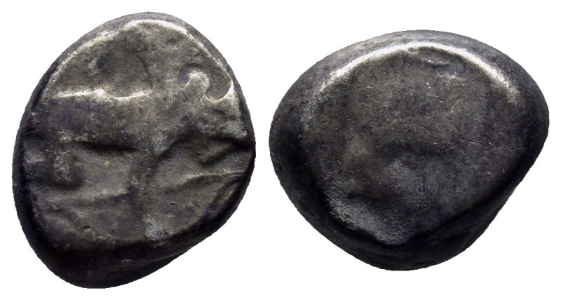 Kings of Persia. Darios II or Arteaxerxes III AR Siglos. (13mm, 5.6 g) Sardis c....