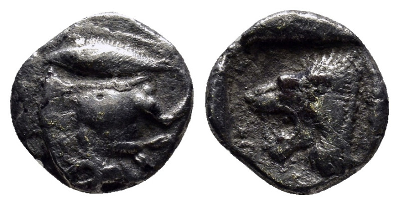 MYSIA. Kyzikos. (Circa 450-400 BC). AR Diobol. (11mm, 1.1 g) Obv: Forepart of bo...