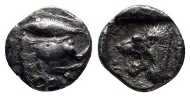 MYSIA. Kyzikos. (Circa 450-400 BC). AR Diobol. (11mm, 1.1 g) Obv: Forepart of boar left; to right, tunny upwards. Rev: Head of lion left within incuse...