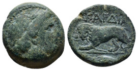 Kardia  Ae (19mm, 7.4 g) (2nd-1st centuries BC). Obv: Diademed head of Apollo? left. Rev: ΣΑΡΔΙΑ. Lion standing left, breaking spear in his jaws....