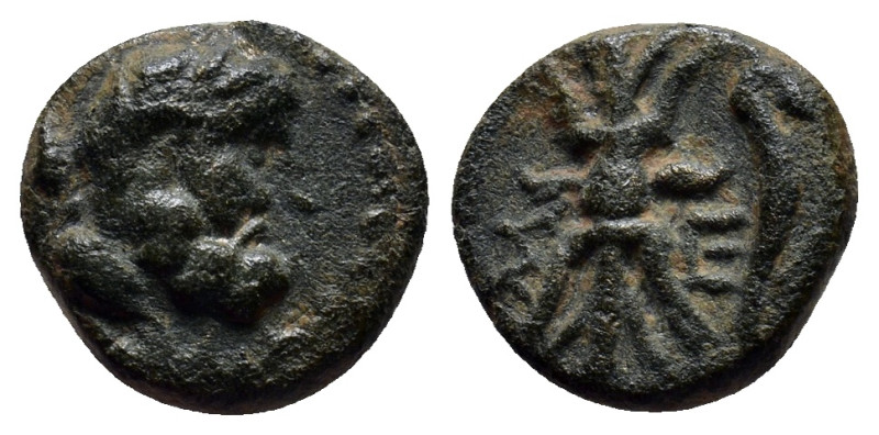 PISIDIA. Selge. Ae (12mm, 2.2 g) (2nd-1st centuries BC). Obv: Head of Herakles r...