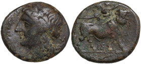 Greek Italy. Central and Southern Campania, Neapolis. AE 19 mm. c. 275-250 BC. Obv. NEOΠOΛITΩN. Laureate head of Apollo left. Rev. Man-headed bull wal...
