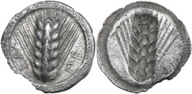 Greek Italy. Southern Lucania, Metapontum. AR Stater, c. 540-510 BC. Obv. Barley-ear. Rev. Incuse ear of barley. HN Italy 1459; SNG ANS 93-96. AR. 5.9...