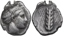 Greek Italy. Southern Lucania, Metapontum. AR Didrachm, c. 400-340 BC. Obv. Head of Demeter right. Rev. Ear of barley. HN Italy 1528-1530; HGC 1 1049....