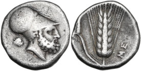 Greek Italy. Southern Lucania, Metapontum. AR Stater, c. 340-330 BC. Obv. Helmeted head of Leukippos right; behind, lion's head. Rev. Ear of barley, l...