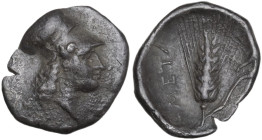 Greek Italy. Southern Lucania, Metapontum. AR Diobol, c. 325-275 BC. Obv. Head of Athena right, wearing Corinthian helmet. Rev. Ear of barley, leaf to...