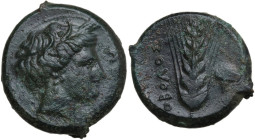 Greek Italy. Southern Lucania, Metapontum. AE Obol, c. 425-350 BC. Obv. Wreathed head of Demeter right. Rev. Grain ear; OBOΛOΣ to left, poppy head (?)...