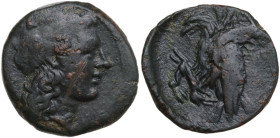 Sicily. Akragas. AE 19.5 mm, 287-282 BC. Obv. Laureate head of Apollo right. Rev. Two eagles: eagle in foreground raises head to scream while eagle in...