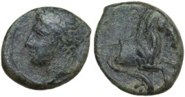 Sicily. Solous. AE late fourth-early third centuries BC. Siculo-Punic coinage. Obv. Laureate head left. Rev. Anepigraphic. Horse forepart galloping ri...