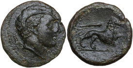 Sicily. Syracuse. Agathokles (317-289 BC). AE 23 mm. Obv. Diademed head of young Herakles right. Rev. Lion right, raising left foreleg; above, club. C...
