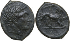 Sicily. Syracuse. AE c. 289-287 BC. Struck under the Fourth Democracy. Obv. Head of young Herakles right, wearing tainia. Rev. Lion advancing right, c...