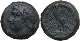 Sicily. Syracuse. Hiketas (287-278 BC). AE 22 mm. Obv. Laureate head of Zeus Hellanios left. Rev. Eagle standing left on thunderbolt, wings open; to l...