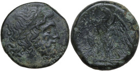 Sicily. Syracuse. Hieron II (274-215 BC) in alliance with Ptolemy II Philadelphos (285-246 BC). AE 27 mm. Struck circa 264–263 BC. Obv. Laureate head ...