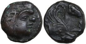 Greek Asia. Cimmerian Bosporos, Pantikapaion. AE 14 mm, c. 310-303 BC. Obv. Head of Pan right. Rev. Forepart of Pegasus right. HGC 7 134. AE. 2.94 g. ...