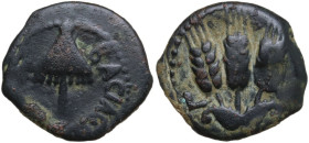 Greek Asia. Judaea, Jerusalem. Herodian Kings. Agrippa I (37-44 AD). AE Prutah, year 6 (41-42 AD). Obv. Umbrella-like canopy. Rev. Three ears of barle...