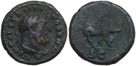 Trajan (98-117). AE Quadrans, Rome mint, 114-117. Obv. IMP CAES TRAIAN AVG GERM. Bust of Hercules, diademed, right, wearing lion-skin. Rev. S C. Boar ...
