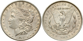 USA Morgan Dollar 1888