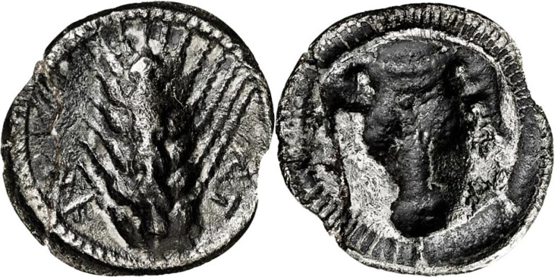 (470-440 a.c.). Lucania. Metaponto. Trióbolo. (S. falta) (CNG. I, 1071). Rota y ...