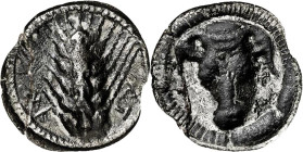 (470-440 a.c.). Lucania. Metaponto. Trióbolo. (S. falta) (CNG. I, 1071). Rota y pegada. 1 g. (MBC).