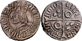 Ferran II (1479-1516). Barcelona. Croat. (AC. 57) (Cru.V.S. 1140) (Cru.C.G. 3069a). 3 g. MBC.