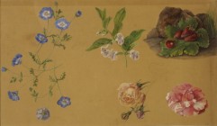 *
FRANZ XAVER PETTER
Wien 1791-1866 Wien

Pflanzenstudien

Aquarell und Gouache über Bleistift, LM 23,5 x 40,5 cm, gerahmt
