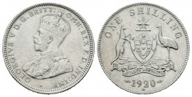 Australia. George V. 1 shilling. 1920. Melbourne. M. (Km-26). Ag. 5,64 g. Ligeramente limpiada. Escasa. EBC. Est...120,00.