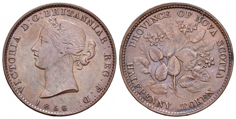 Canadá. Nueva Escocia. Victoria. 1/2 penny. 1856. (Km-6). Ae. 7,67 g. MBC+. Est....